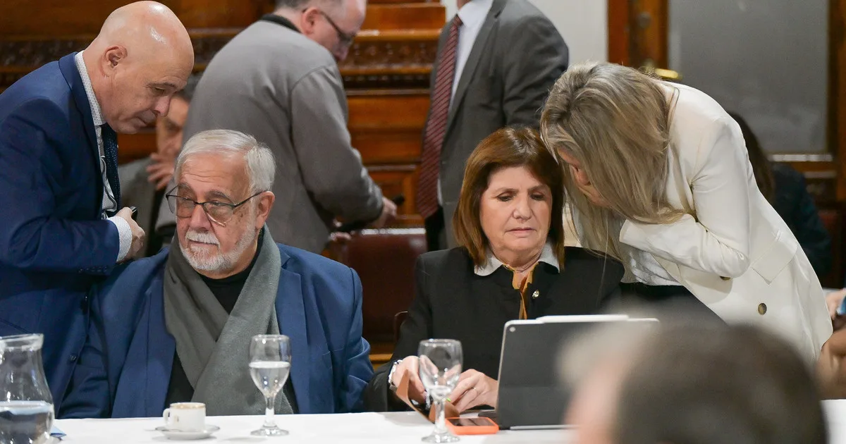 Senado: el oficialismo espera el ingreso de nuevos pliegos y convocó a audiencias para recibir a 25 candidatos en agosto
