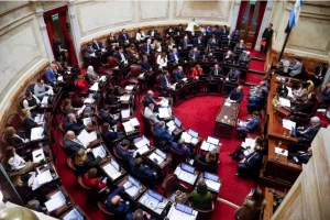 El Senado frenó la ley de propiedad privada: el debate va a agosto