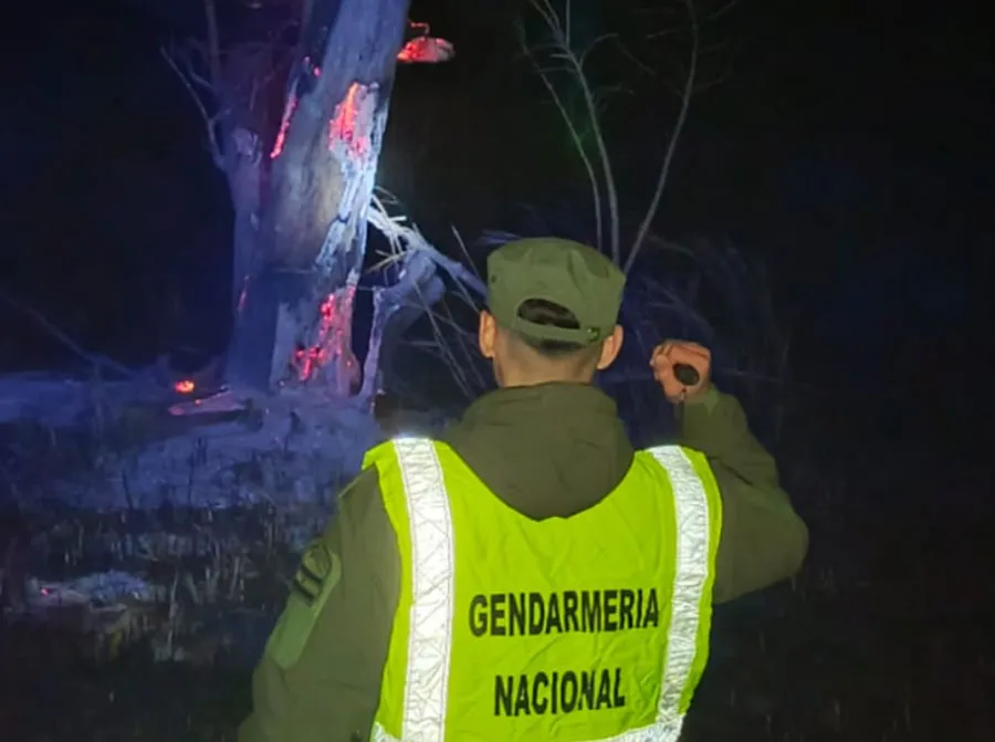 Bomberos de Ceibas sofocaron un incendio forestal en la Autovía 12