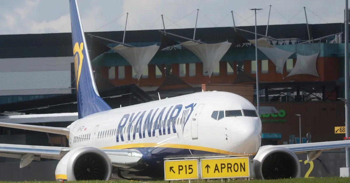 Un buitre bloqueó el despegue de un avión en Grecia