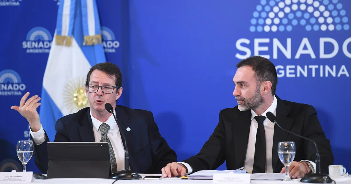 El Gobierno busca destrabar el Súper RIGI en el Senado con la presencia de Carlos Guberman