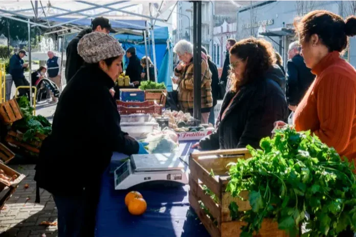 La Feria en tu Barrio suma un nuevo punto fijo y alcanza 79 espacios de comercialización