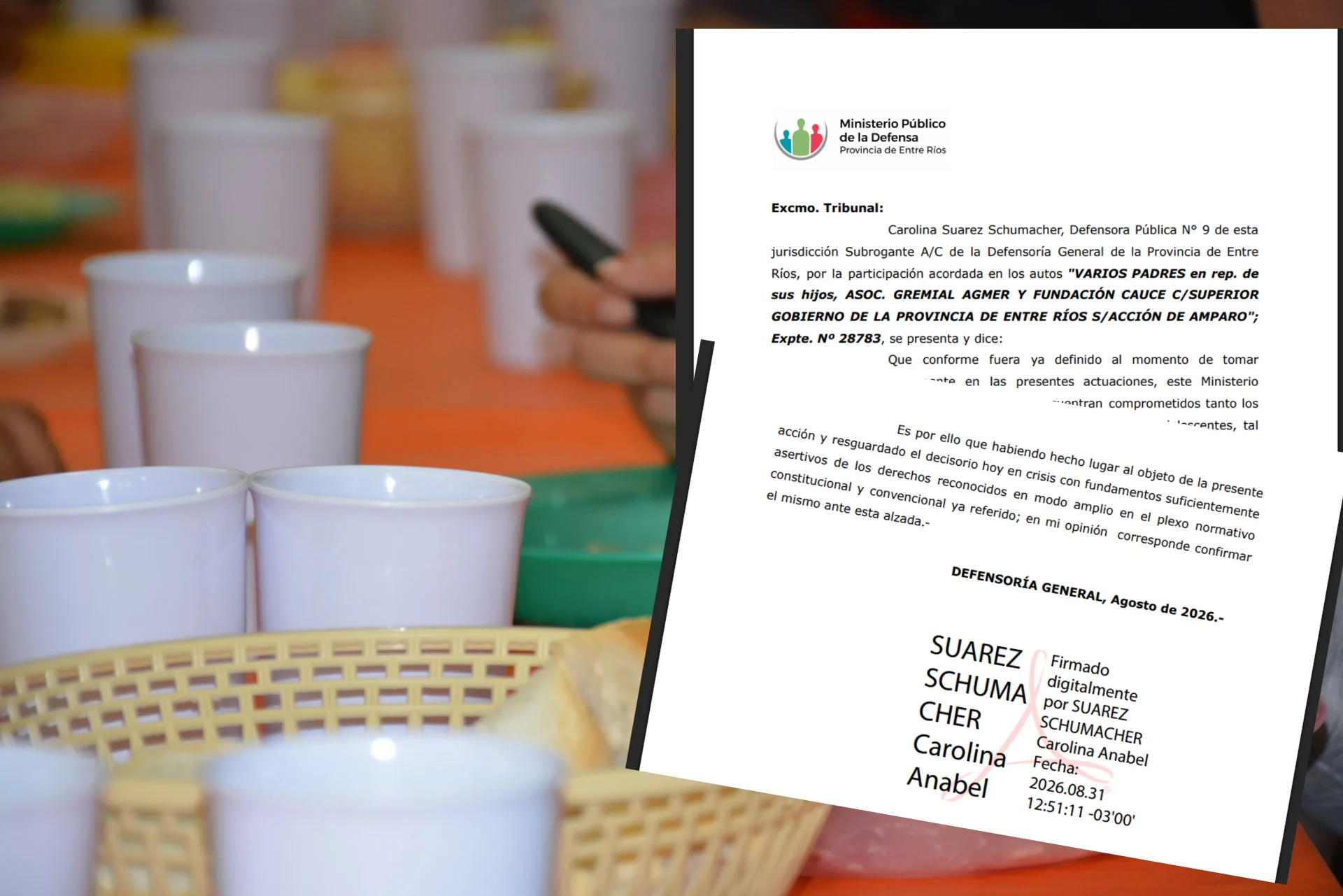 La Defensoría se opuso a la apelación sobre el sistema de comedores escolares