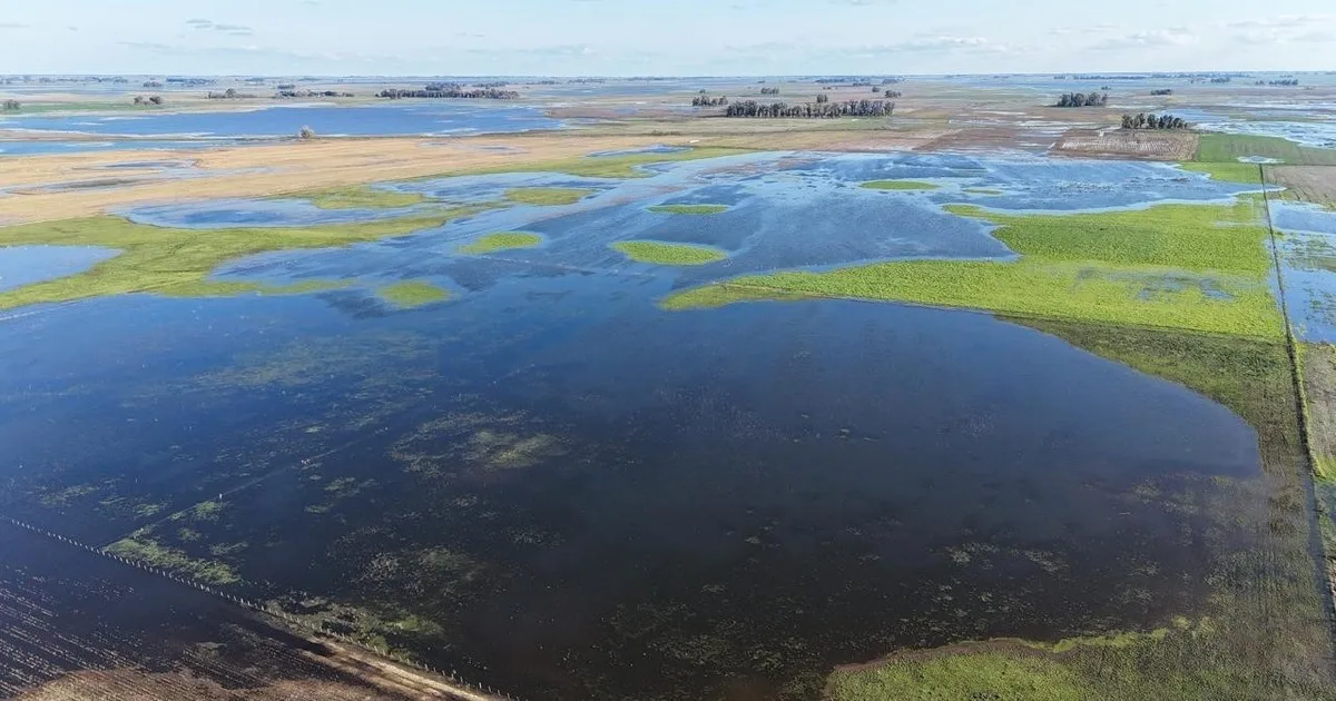 El sector agropecuario argentino frente al desafío de modernizar sus seguros climáticos