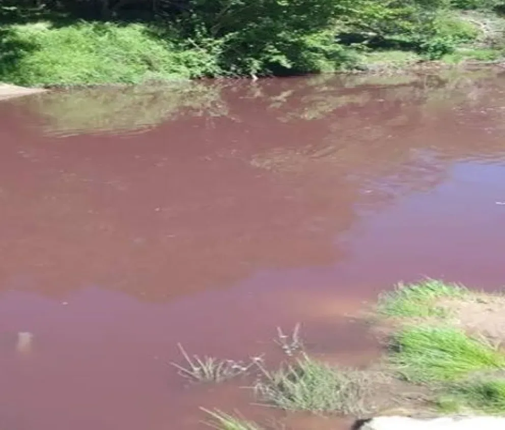 Alerta científica por contaminación crítica en cuatro arroyos de Entre Ríos