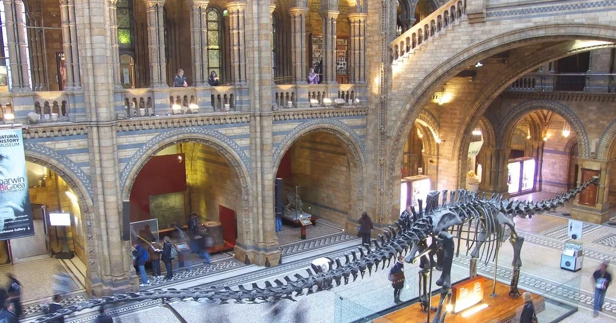El Museo de Historia Natural de Londres reabre una galería cerrada tras la Segunda Guerra Mundial