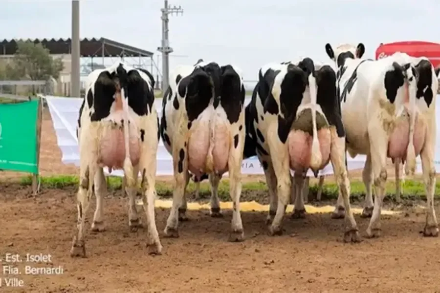 Un tambo entrerriano alcanzó el máximo galardón en la Región Centro