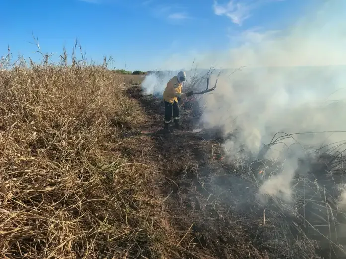 Incendio forestal afectó 100 hectáreas en la Ruta 174