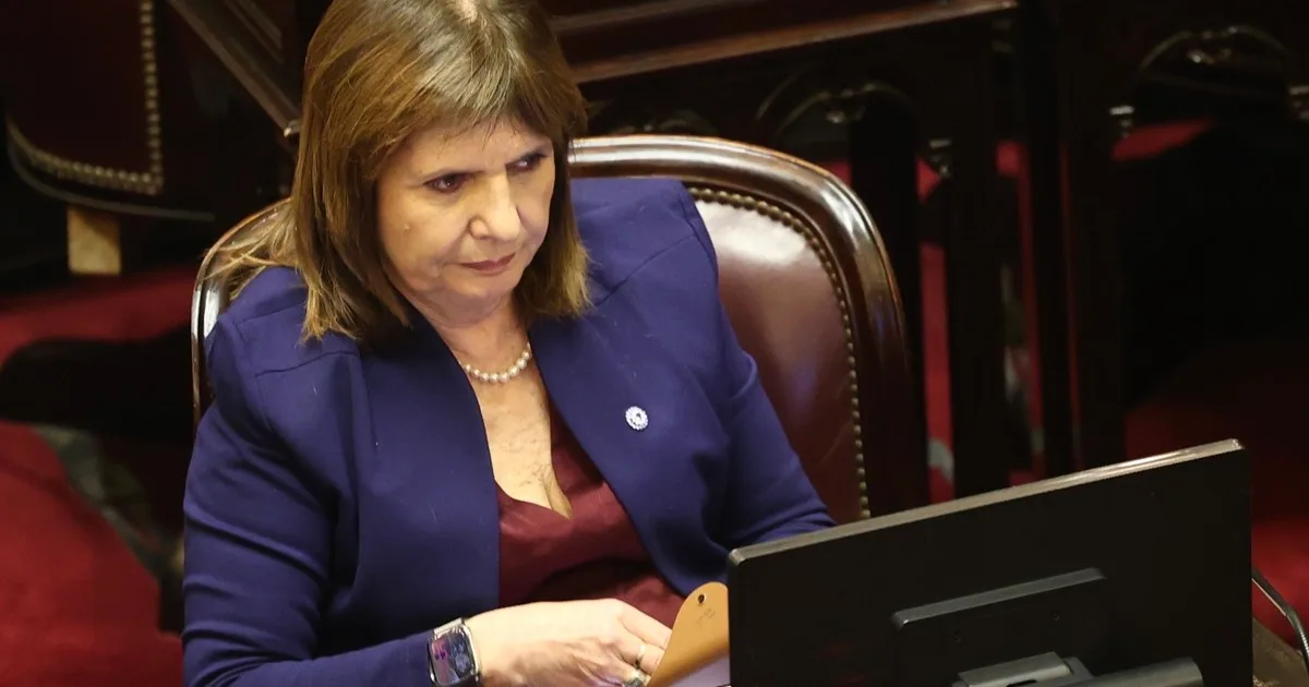 Patricia Bullrich marca diferencias con el Gobierno y pide una alternativa superadora