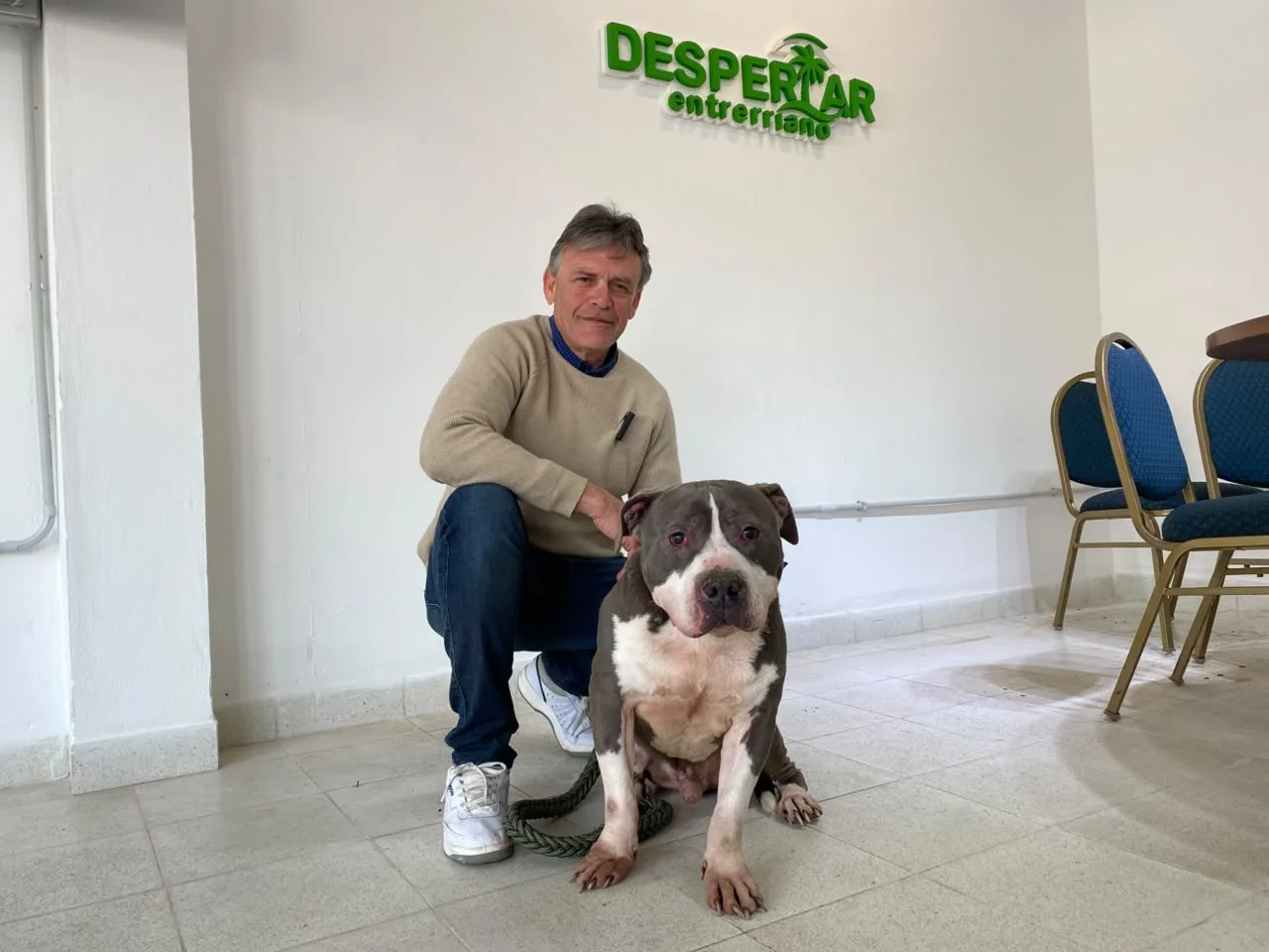 Adiestrador cuestiona la prohibición de razas caninas y apuesta a la educación