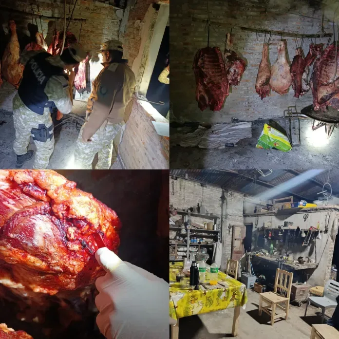 Detuvieron a un padre y su hijo por el robo de 300 kilos de carne en Feliciano