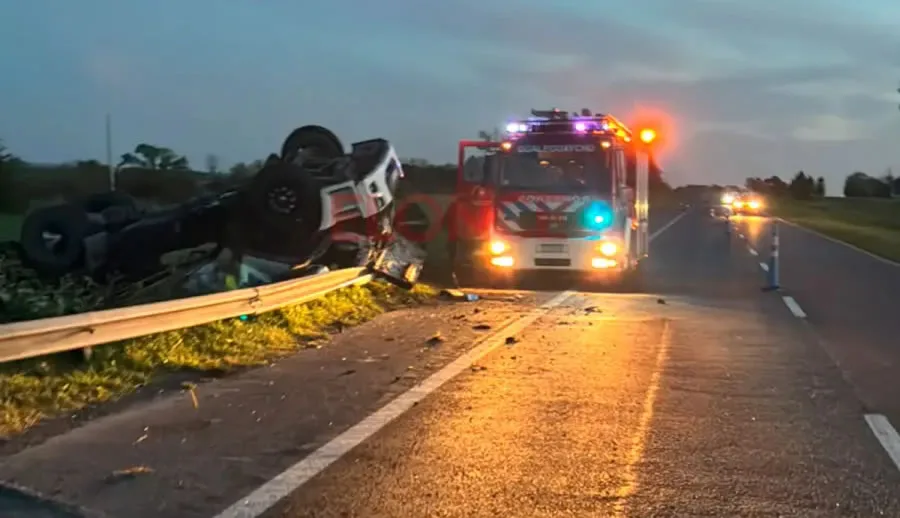 Volcó un camión con pollos congelados en la RN 14 y vecinos saquearon la carga