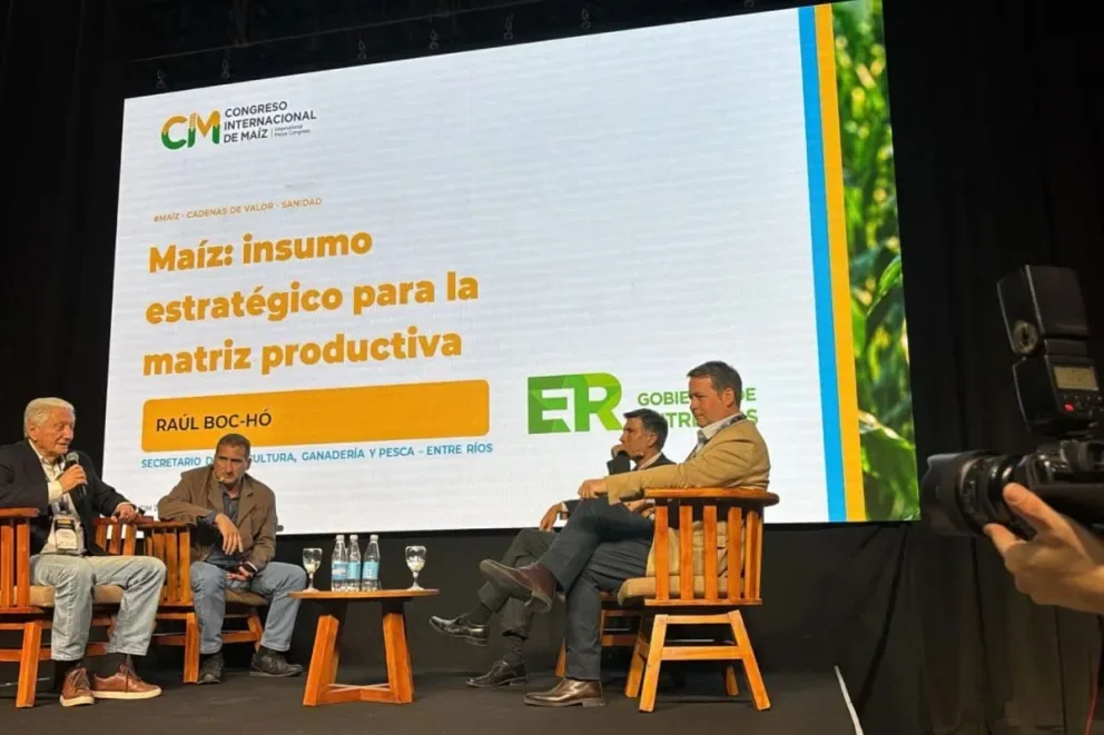 Entre Ríos presentó su balance productivo y desafíos en el sector maicero