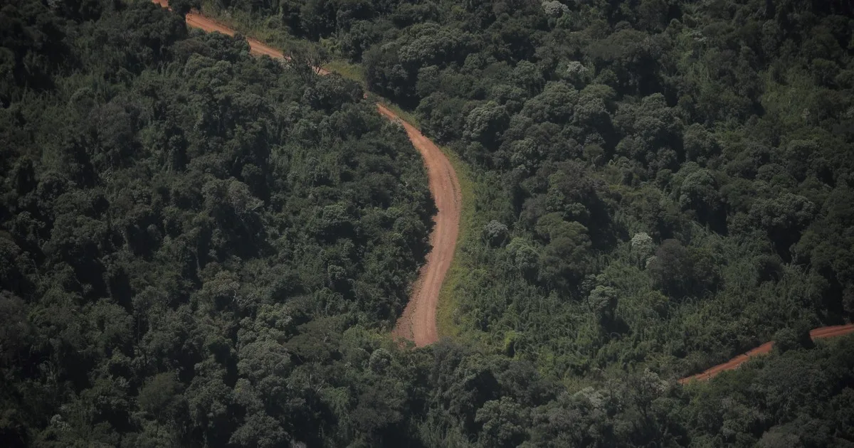 Misiones recurre a la Justicia para limitar la venta de tierras a extranjeros
