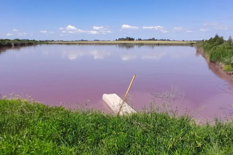 Entre Ríos investiga la coloración inusual en el arroyo Espinillo