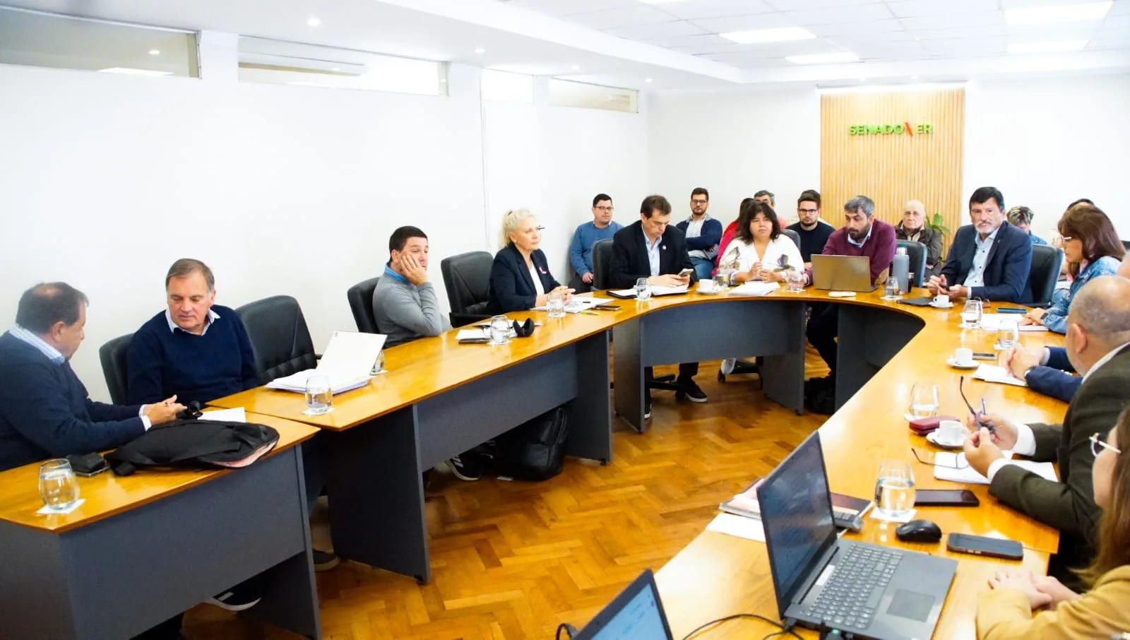 El Senado entrerriano avanzó con modificaciones en el proyecto de Ética Pública y Ficha Limpia