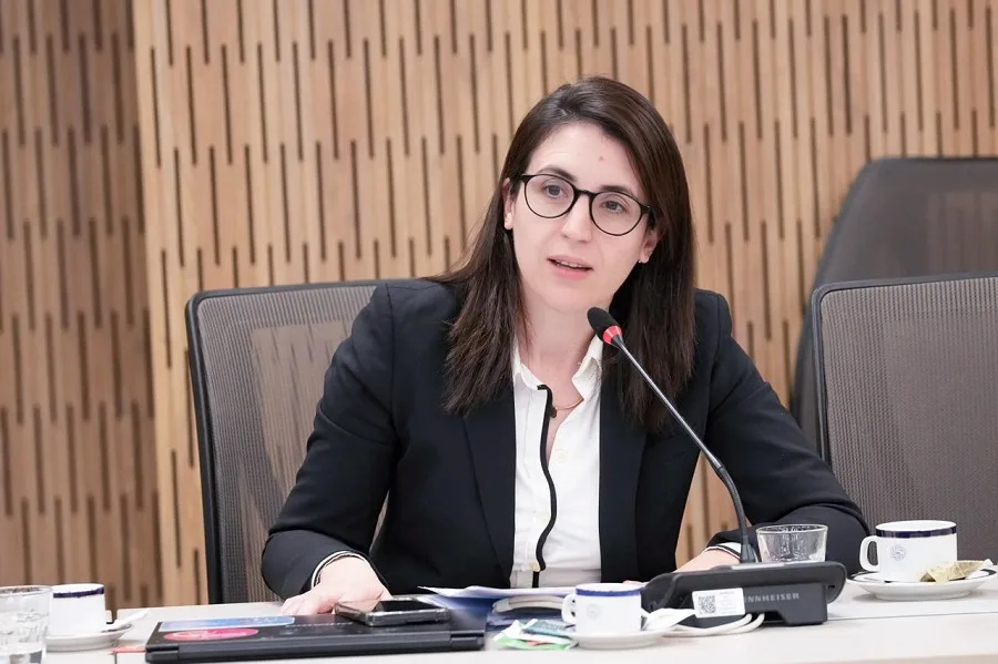 Marianela Marclay defendió la nueva ley de discapacidad en el Congreso