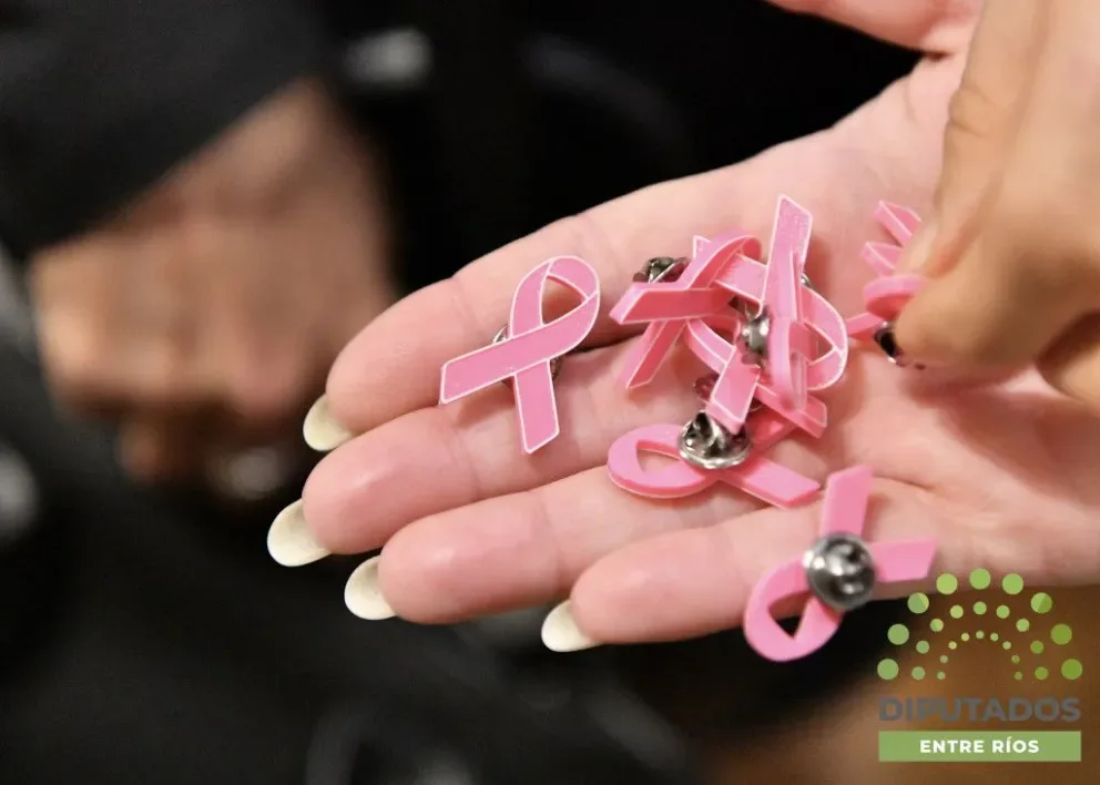 La Cámara de Diputados de Entre Ríos reafirmó su compromiso con la prevención del cáncer de mama