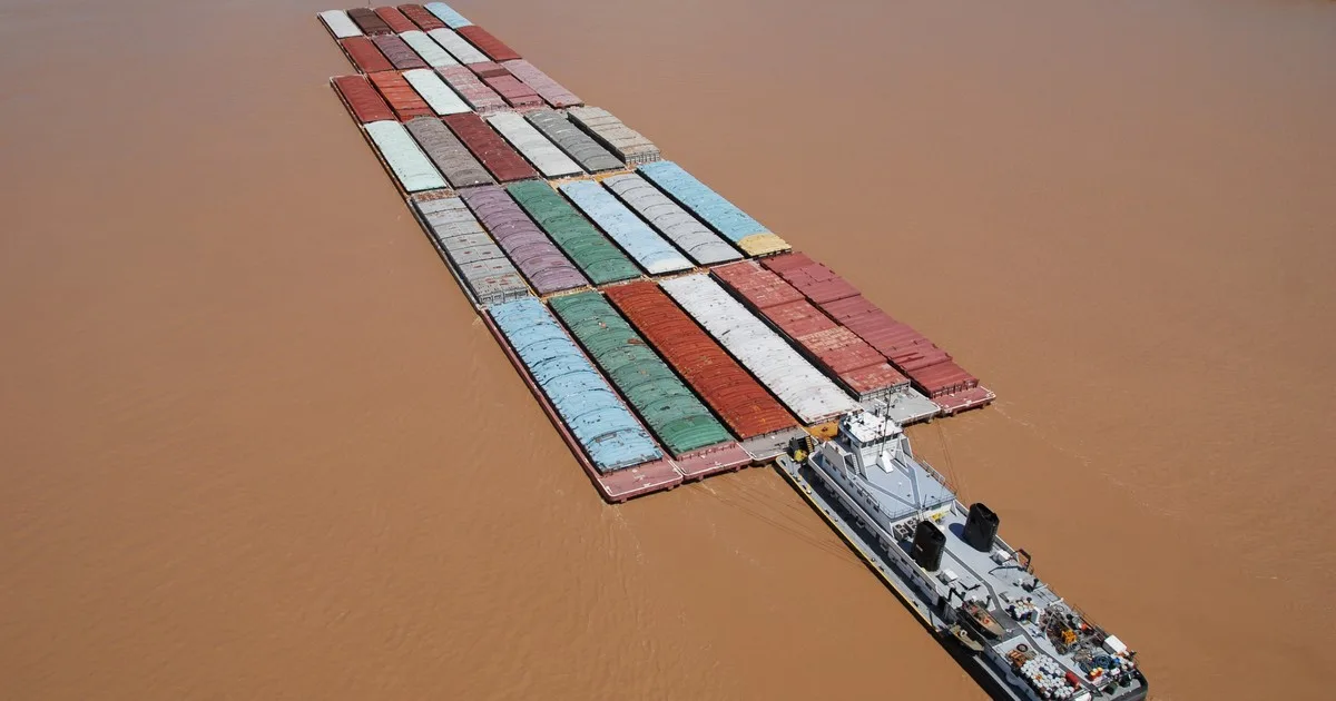 La logística fluvial, un desafío pendiente para la competitividad forestal argentina