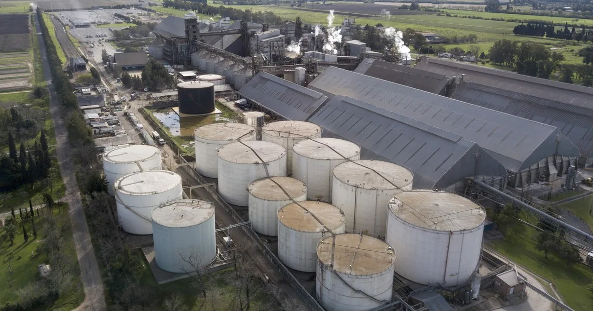 Una multinacional invertirá US$ 400 millones en la construcción de una de las mayores plantas de molienda del mundo en Argentina