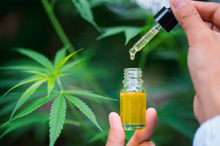 Una provincia reglamentó el acceso al cannabis medicinal para mascotas