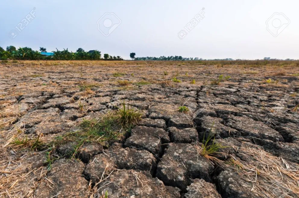 Alerta en el campo entrerriano: un mayo dramáticamente seco pone en jaque las expectativas productivas